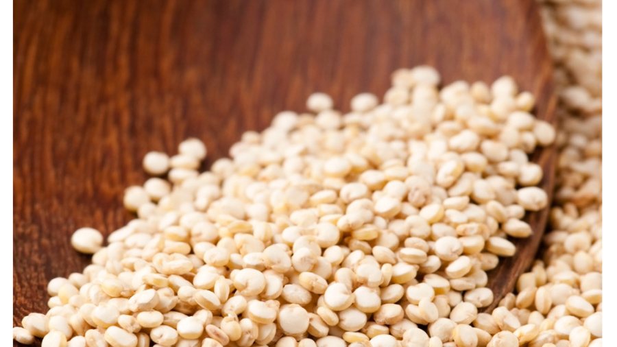 روز-جهانی-غذا