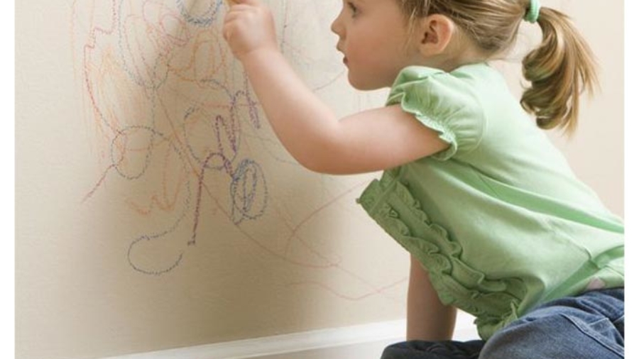 نظافت منزل و محل کار در شیراز سرویس