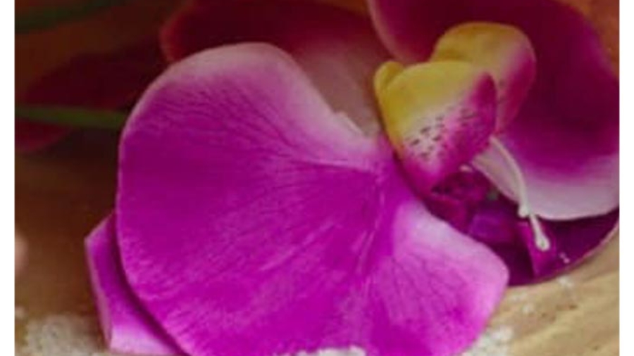 شیراز سرویس ارائه دهنده خدمات منزل و محل کار