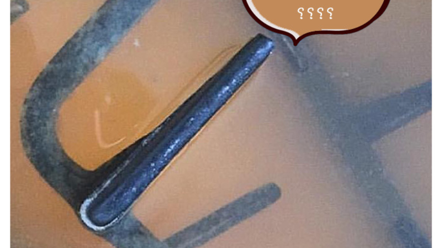 WhatsApp Image 2019-10-06 at 11.59.26