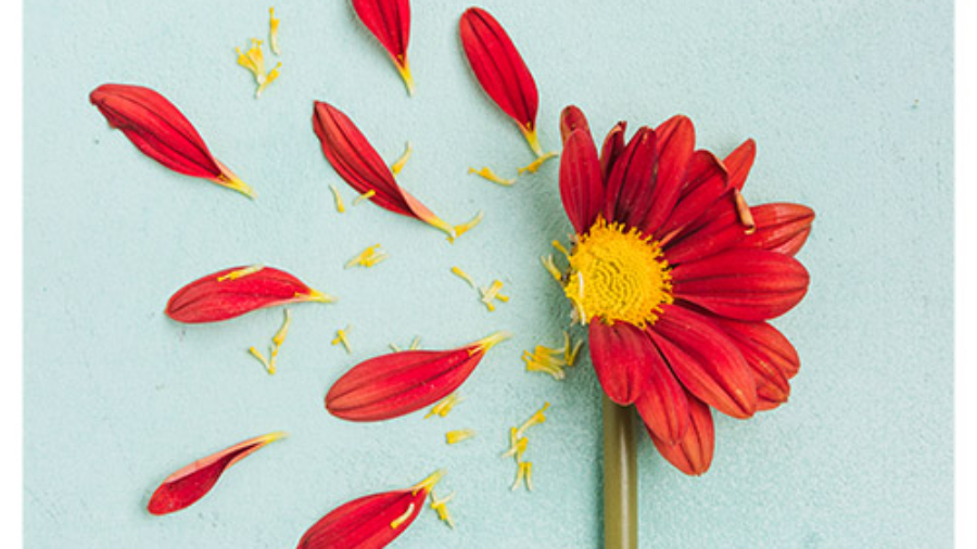 تعمیر لوازم خانگی در شیراز