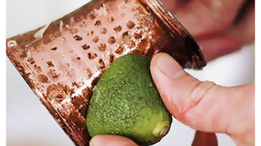 نظافت منزل در شیراز