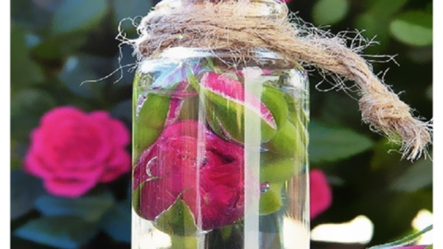 مزایای گلاب برای بدن