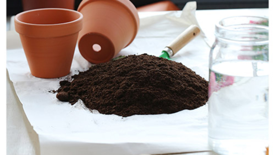 تهیه کود خانگی