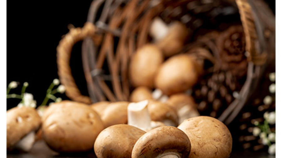 نگهداری قارچ در یخچال