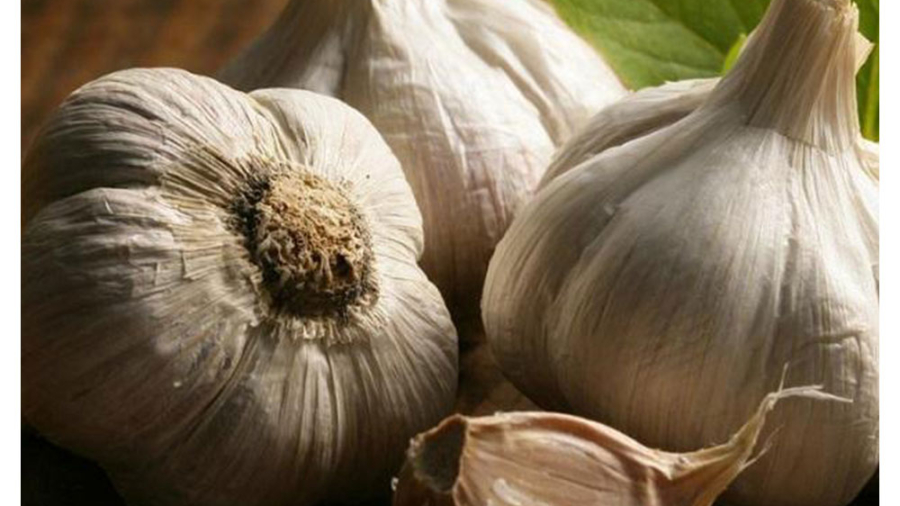 از بین بردن بوی سیر