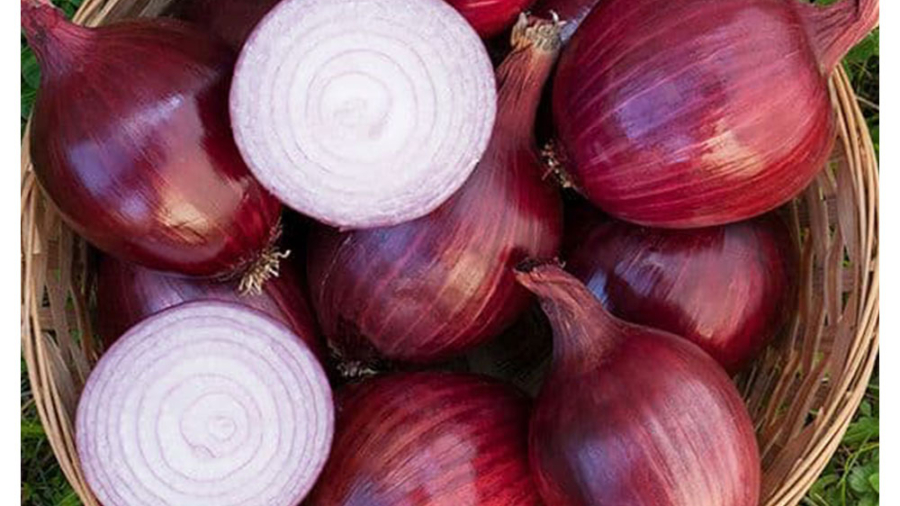 اقیانوس-پیاز