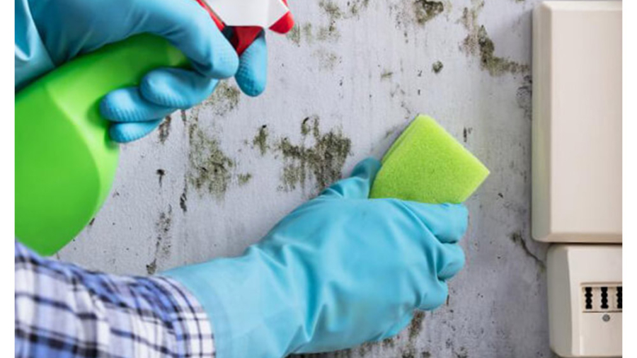 تمیز-کردن-دیوار-های-روغنی