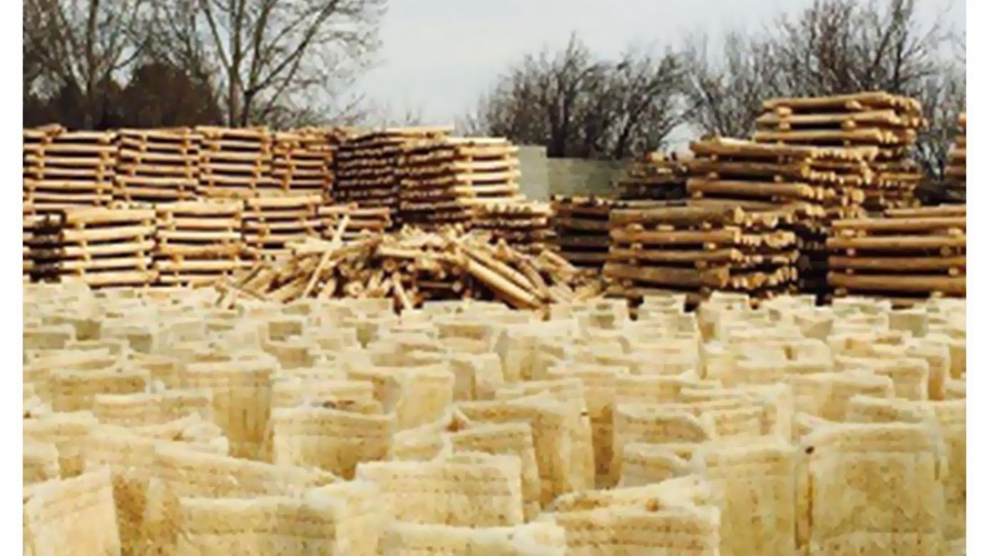 تعویض پوشال در شیراز